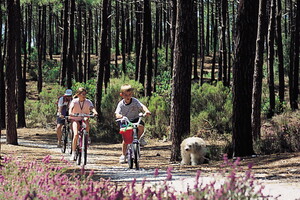 Vélos Camping 5 étoiles Lou Pignada dans les Landes