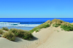 Plage camping 5 étoiles Lou Pignada Landes