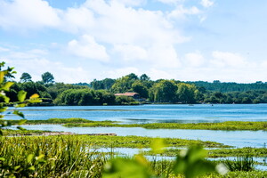 Lac de Léon pour l'article de blog top 7 des activités à faire au lac de Léon, lieu savage, authentique et préservé dans les Sud Ouest de la France, dans la forêt des Landes et proche des lieux de vacances Resasol | Le Vieux Port, Lou Pignada, Domaine de la Marina à Messanges Vieux Boucau