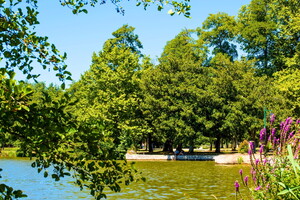 Soustons village authentique dans les Landes Nouvelle Aquitaine avec vue sur le lac avec la belle belle végétation et le ciel bleu des beaux jours à la pointe des vergnes