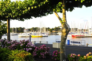 Port de Capbreton dans les Landes pour découvrir le charmes des villages authentiques landaise entre traditions et modernité